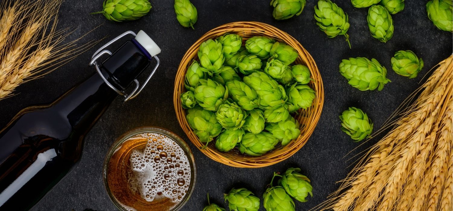 La fabrication de la bière avec le malt d'orge